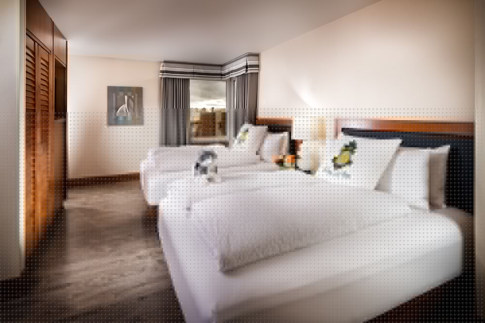 Staypineapple Watertown Hotel University District Seattle - photo 13