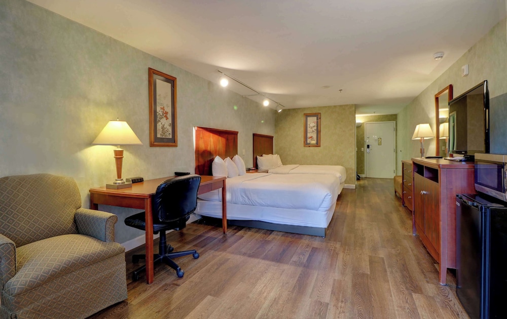 Senator Inn & Spa - photo 21