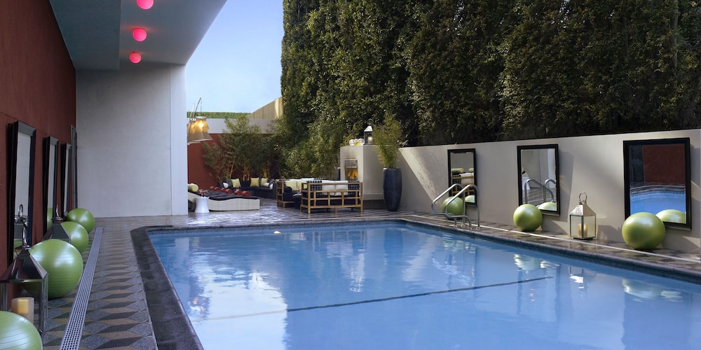 Kimpton Hotel Palomar Los Angeles Beverly Hills by IHG - photo 33