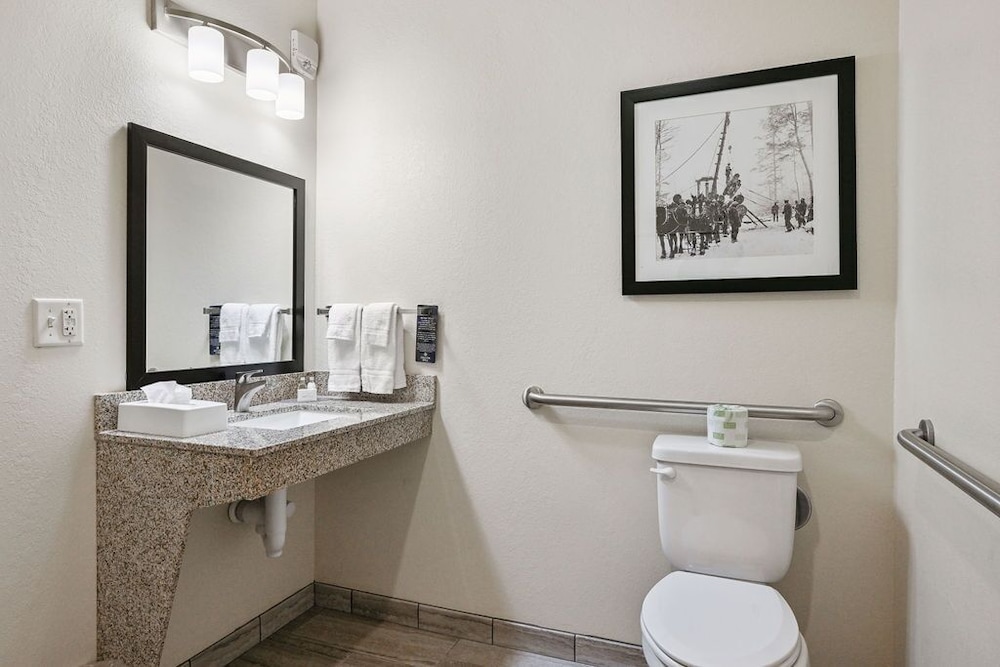 Cobblestone Hotel & Suites Mosinee - photo 73