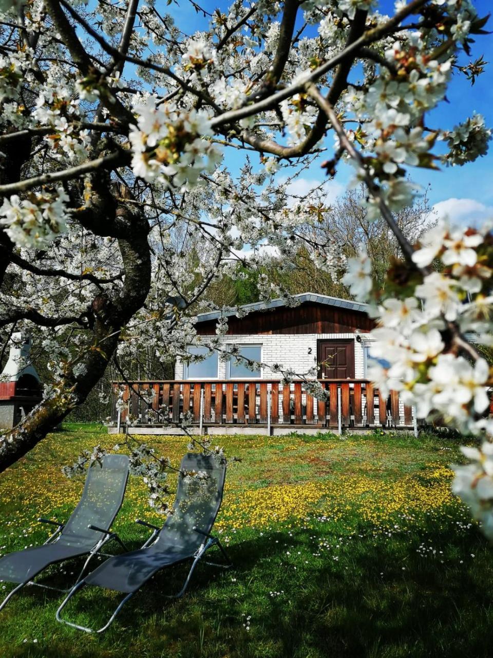 Ferienhaus Chiara Sudharz Harztor — Ilfeld — photo 2