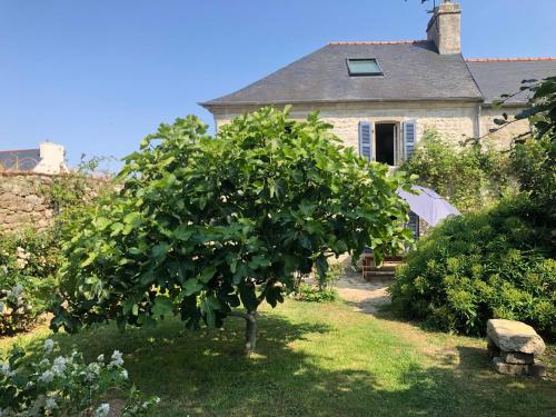 Le Presbytere - carbon neutral hotel in Treffiagat