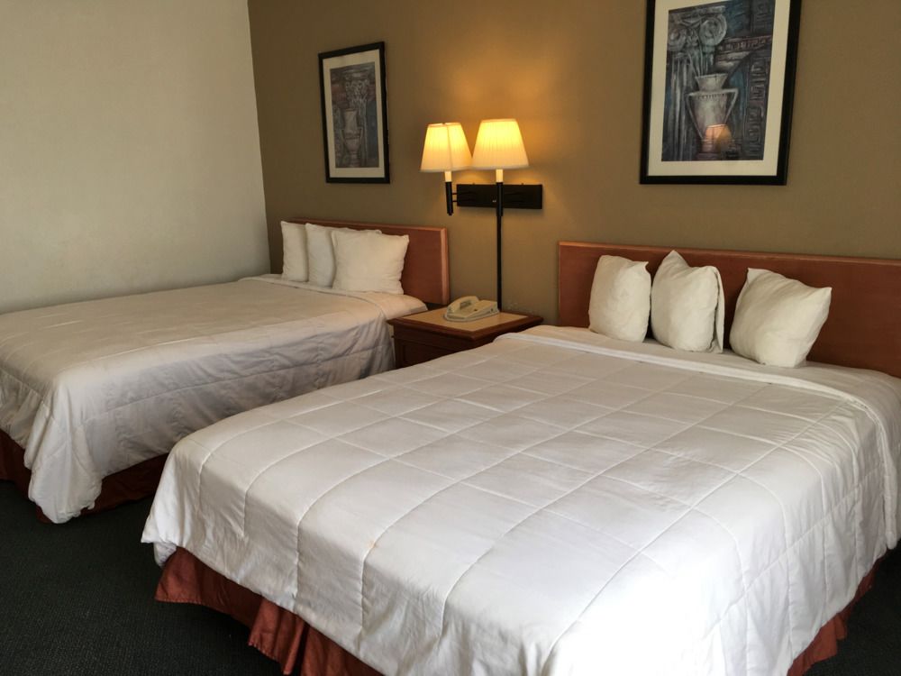 Portofino Beach Inn - photo 18