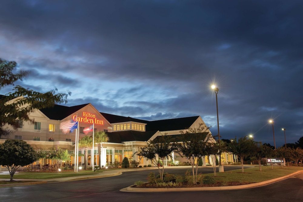 Hilton Garden Inn Warner Robins - photo 33