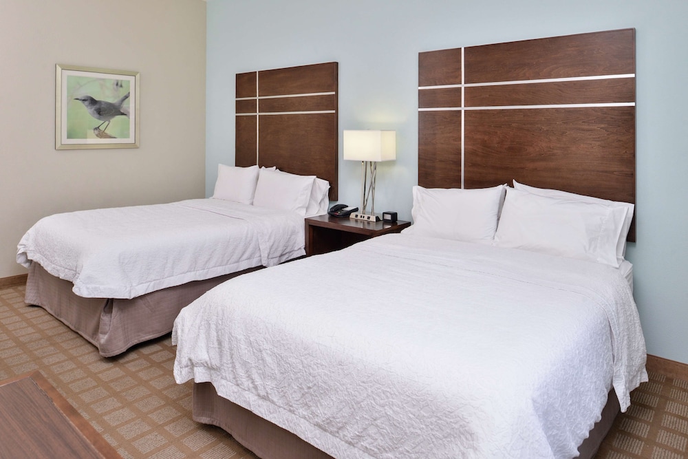 Hampton Inn & Suites Hutto Austin - photo 7