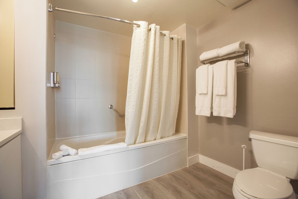 Private Residences at Sonesta Coconut Grove - photo 27