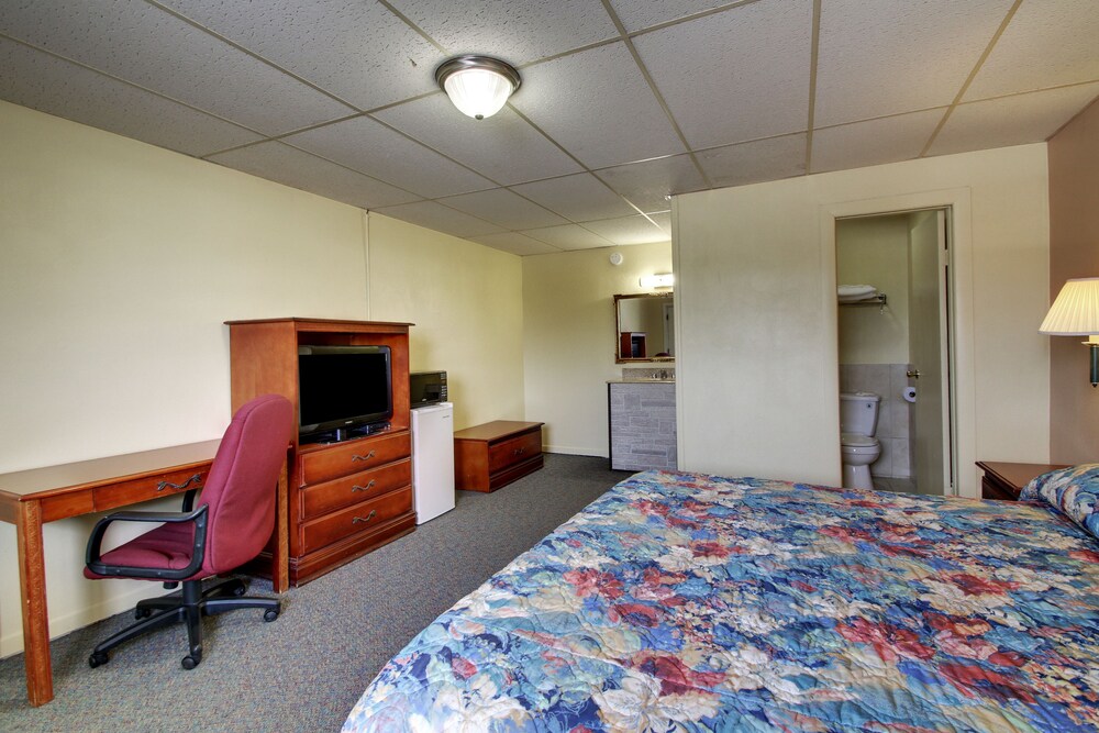 Star Motel - photo 3