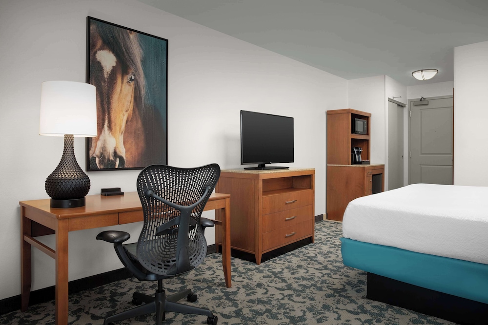 Hilton Garden Inn Fort Worth Medical Center - photo 12