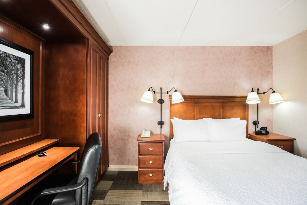 Hampton Inn West Springfield - photo 6