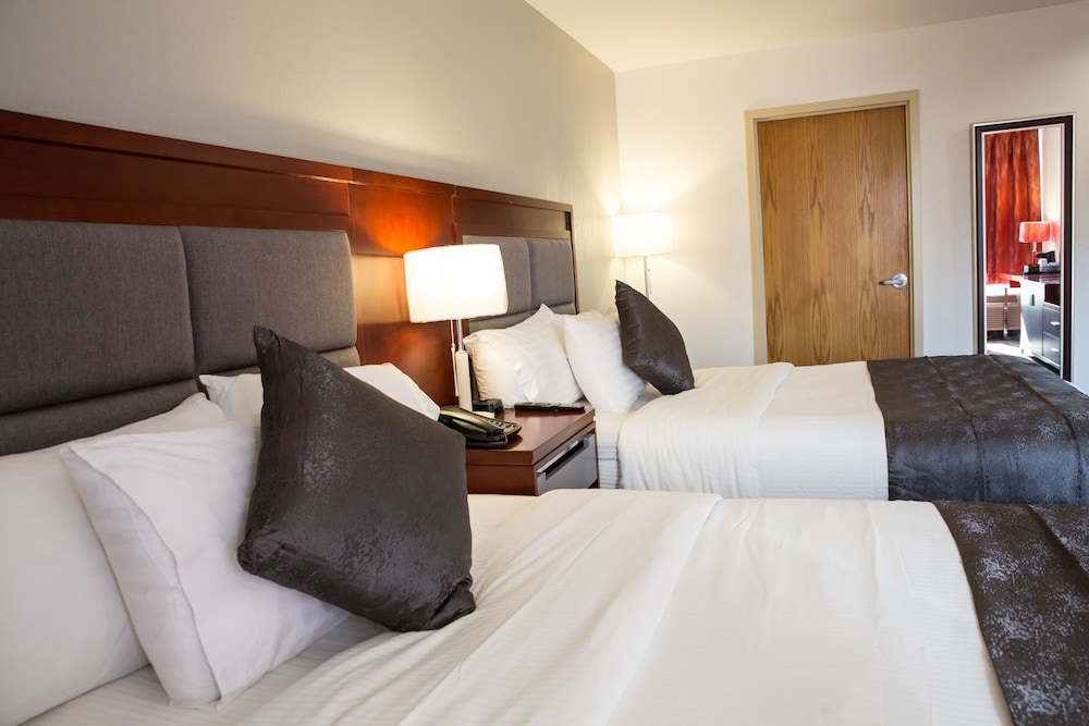 Ramada Plaza by Wyndham Chicago North Shore - photo 4