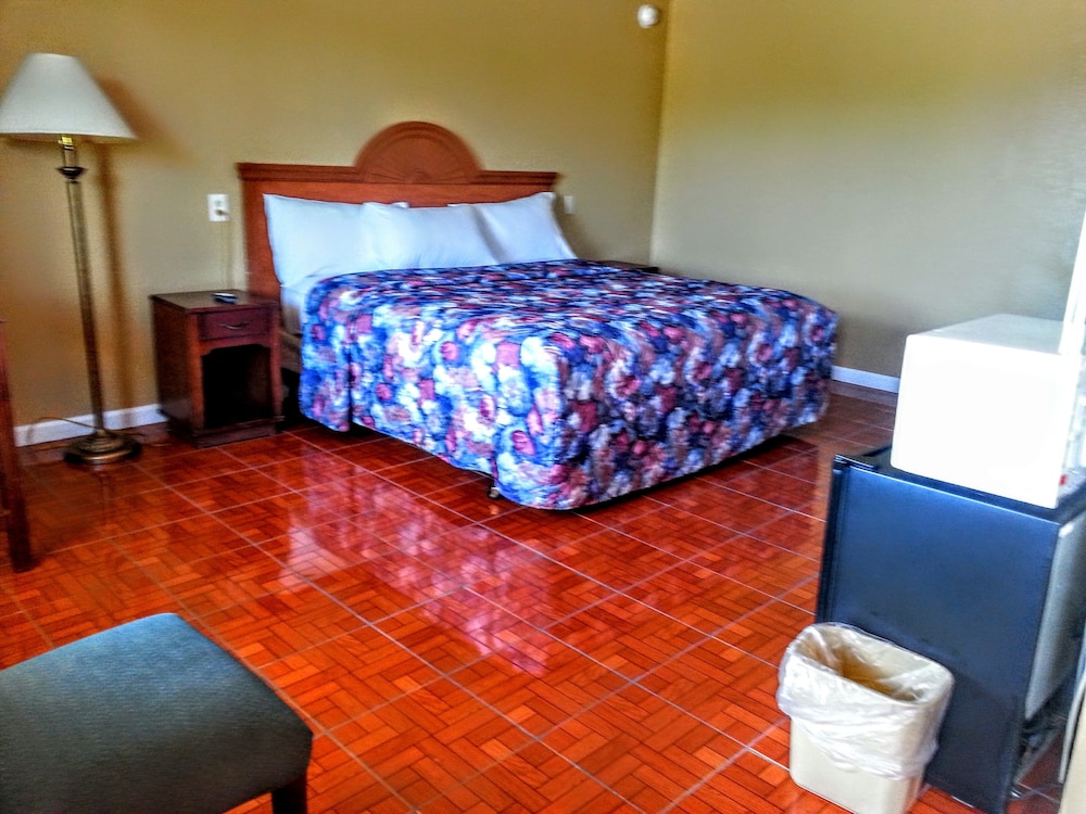Budget Lodge of Mount Dora - photo 30