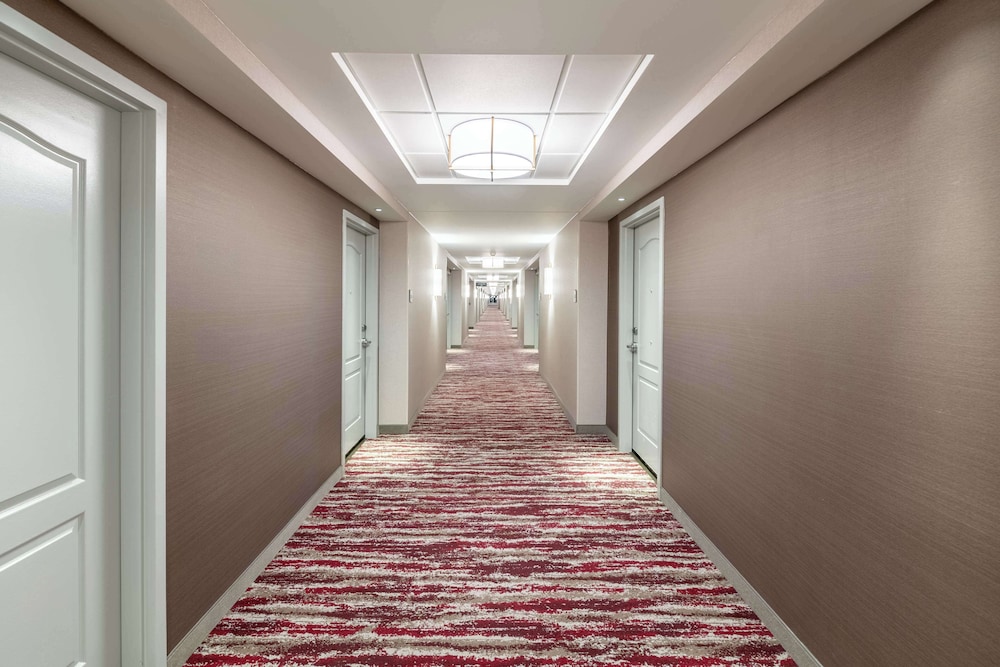 Hilton Garden Inn Omaha East Council Bluffs - photo 3