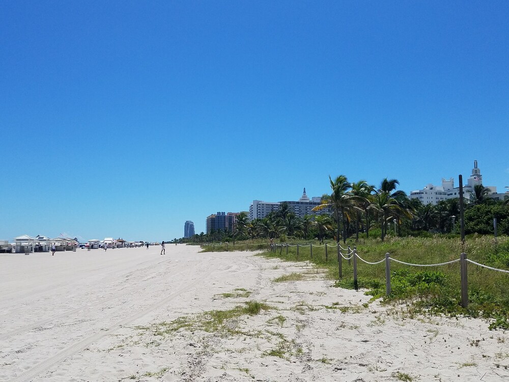 Seagull Hotel Miami Beach - photo 39