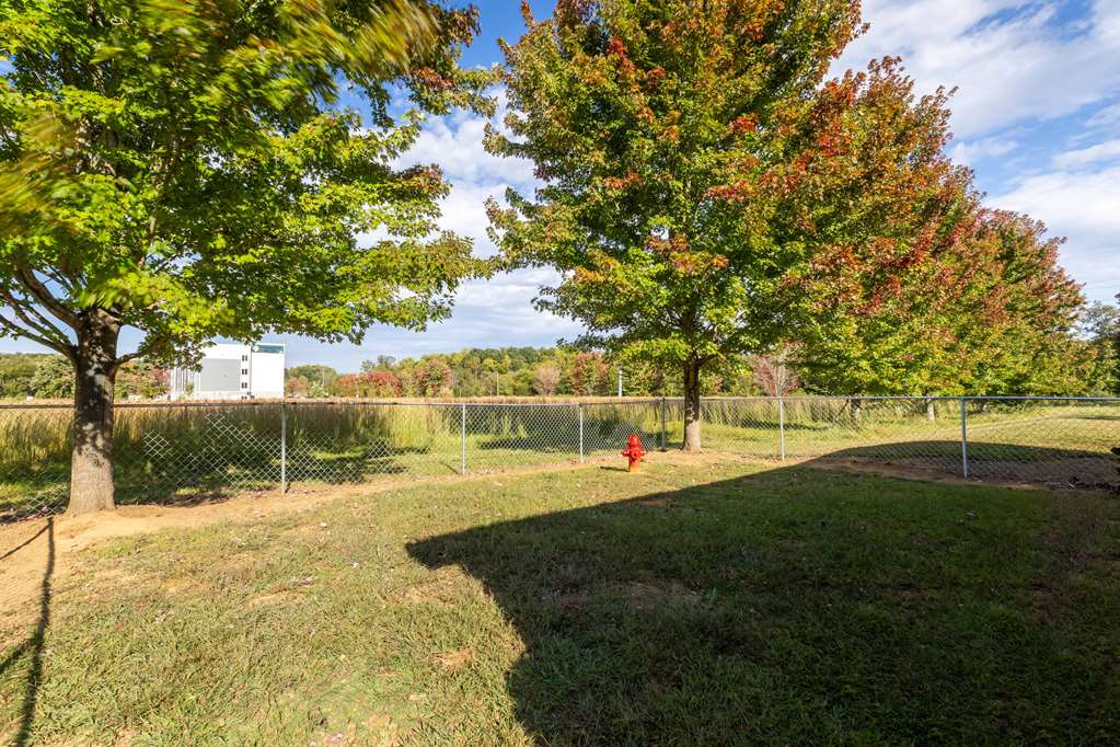 Wingate by Wyndham Charlotte Speedway Concord - photo 46
