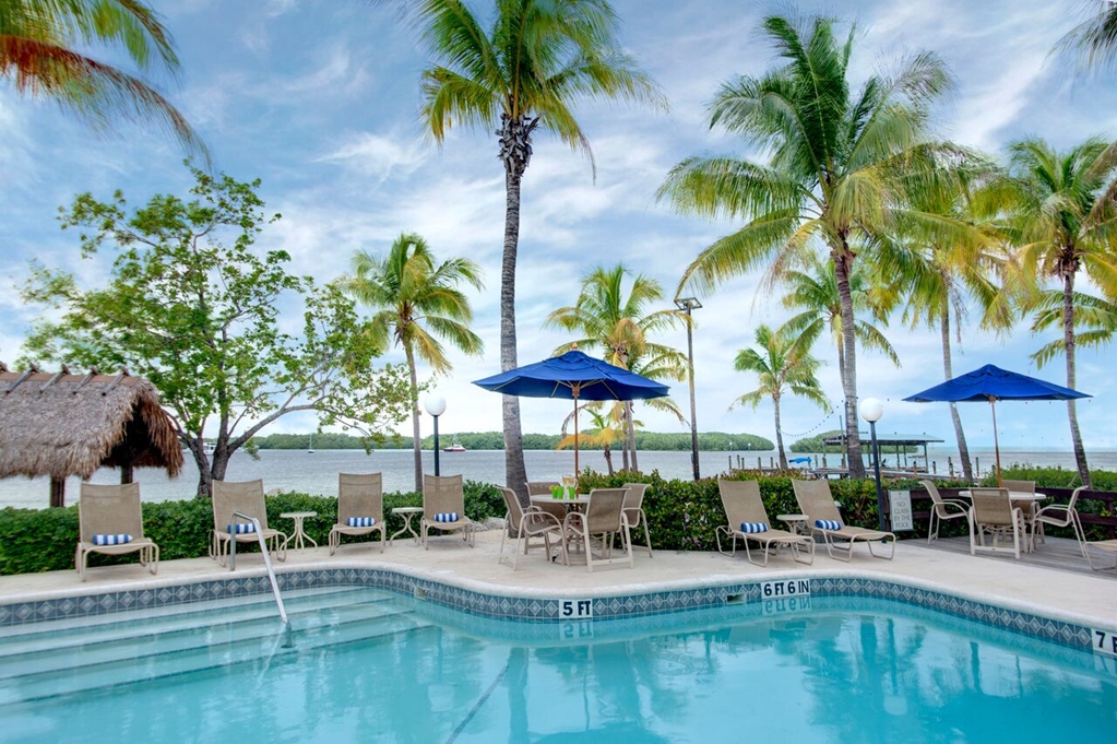 Coconut Palm Inn - photo 20