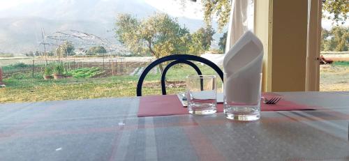 Azienda Agrituristica La Vecchia Quercia pet-friendly hotel Aquino