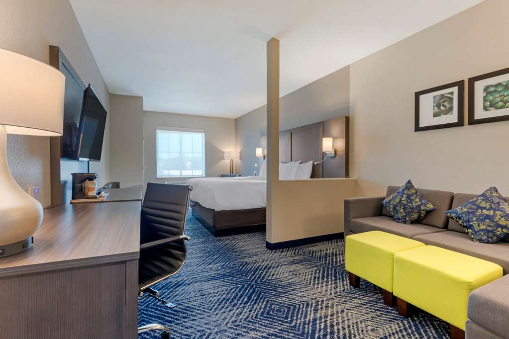 Comfort Inn & Suites Balch Springs SE Dallas - photo 13
