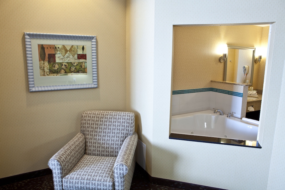 Holiday Inn Express Hotel & Suites Lansing Dimondale by IHG - photo 8