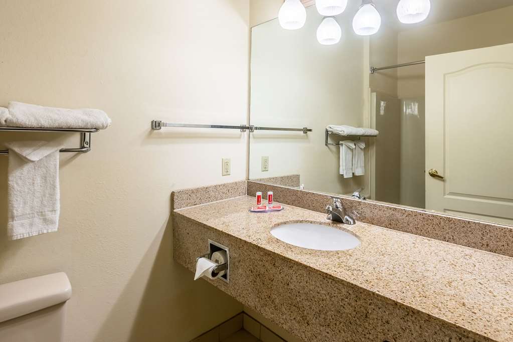 Econo Lodge Inn and Suites Douglasville GA - photo 16