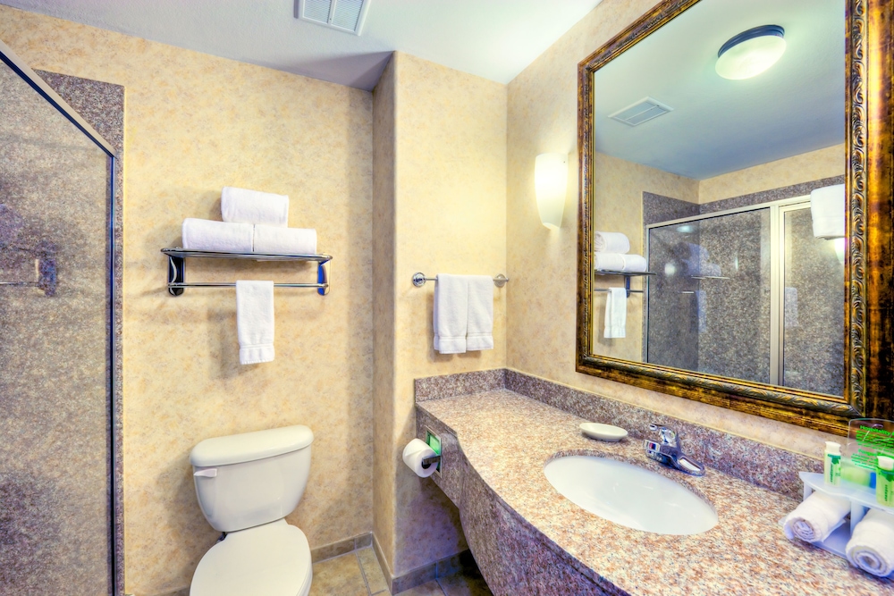 Holiday Inn Express & Suites Granbury by IHG - photo 11