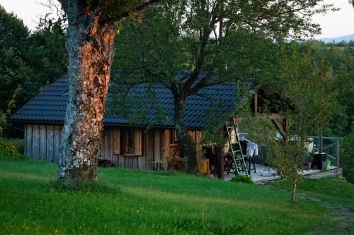 Johanca in Ilirska Bistrica, Slovenia