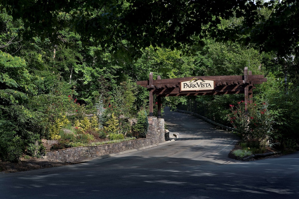 The Park Vista a DoubleTree by Hilton Hotel Gatlinburg - photo 57