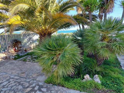 Perla Rosa — 4-Star Luxury Hotel in Polignano A Mare, Italy