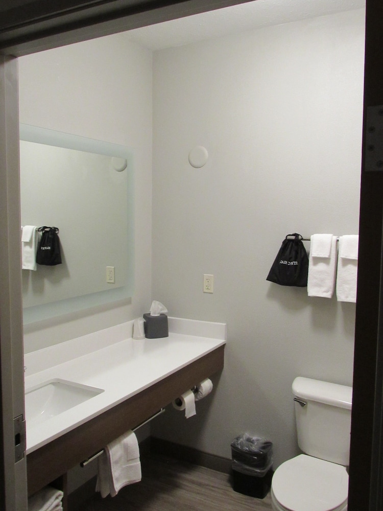 Holiday Inn Express & Suites South Lincoln by IHG - photo 48