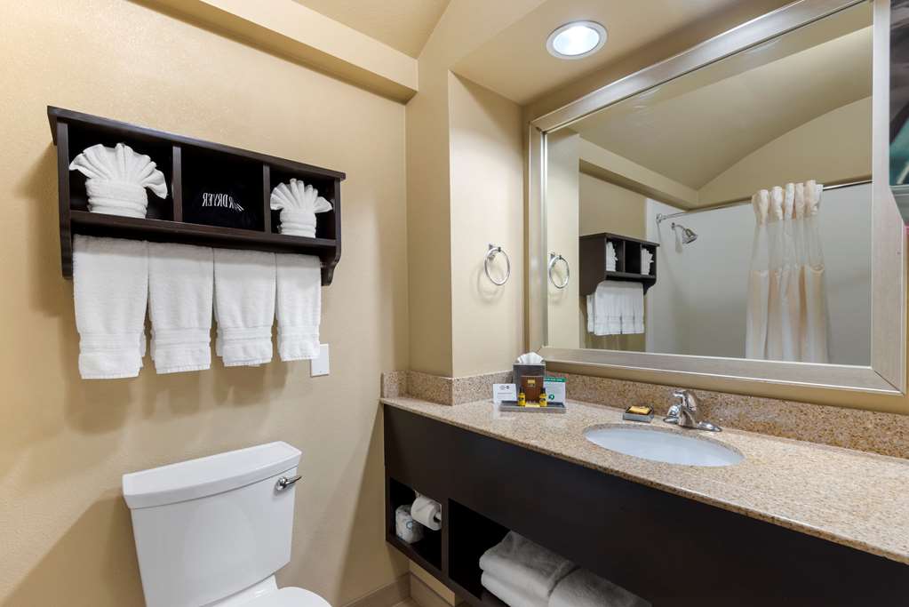 Best Western Plus Arlington North Hotel & Suites - photo 20