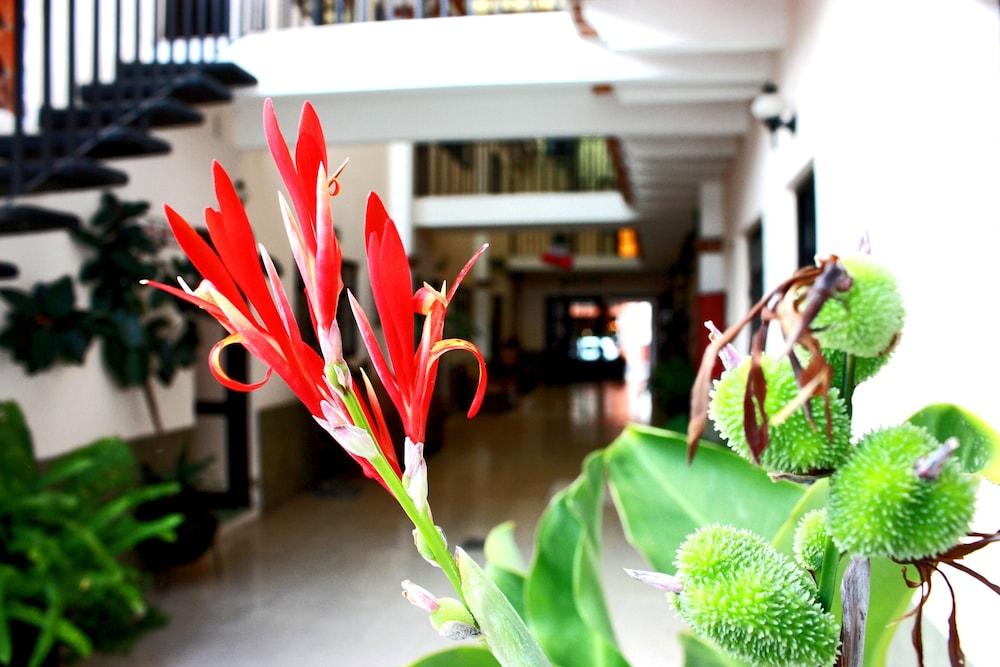 Interior detail