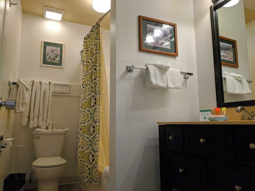Donner Lake Village Resort - photo 30