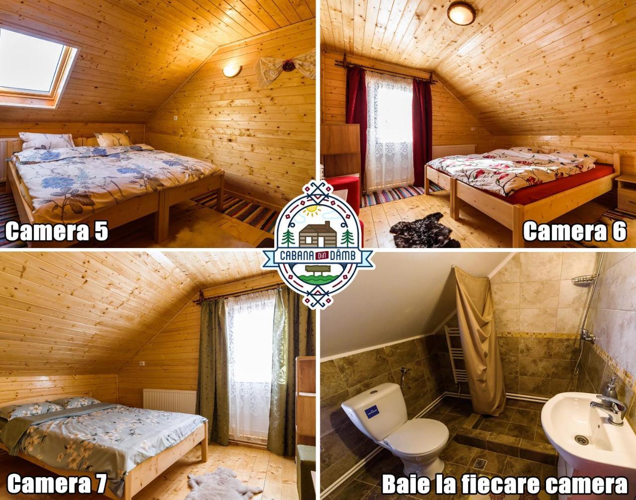Cabana din Damb — Rasca — photo 3