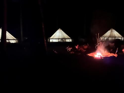 Harmony Tree Resorts - photo 26