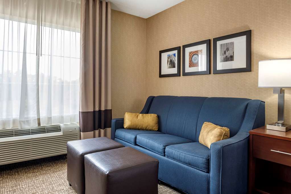 Comfort Inn Meadowlands - photo 7