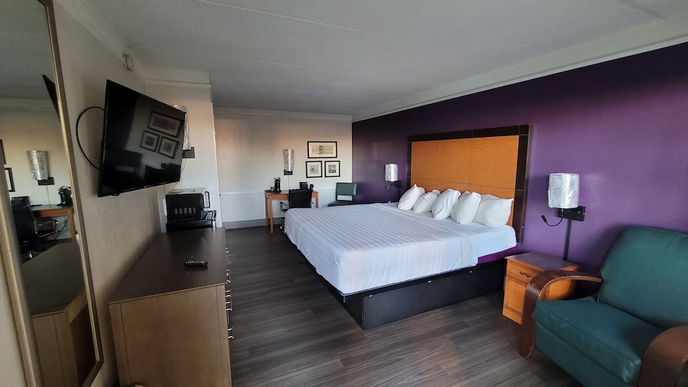 Palm Bliss Hotel Corpus Christi South - photo 5