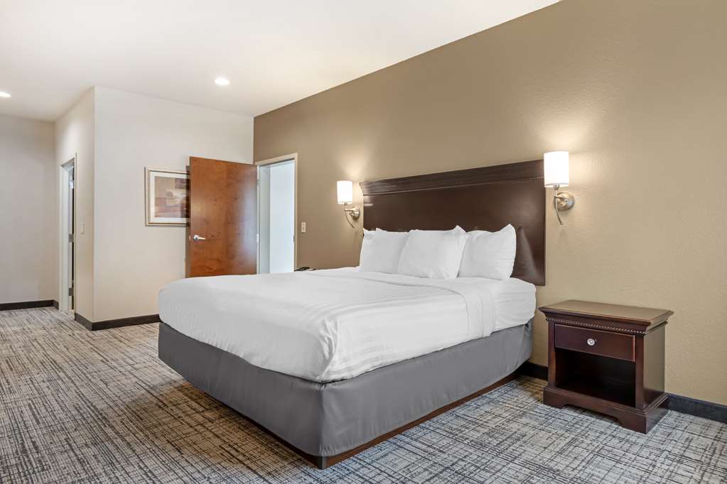 Best Western Plus Greenville South - photo 20