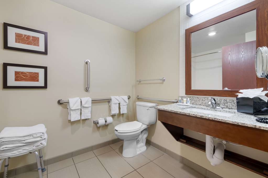 Comfort Suites and Conference Center - photo 27