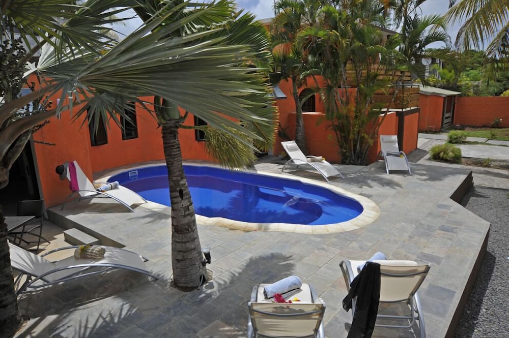 Flowers of Paradise in Grand Baie, Mauritius