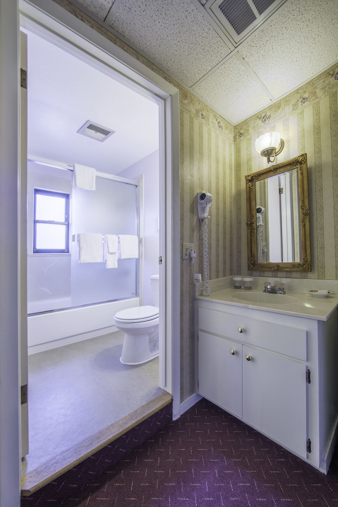 Historic Cary House Hotel - photo 24