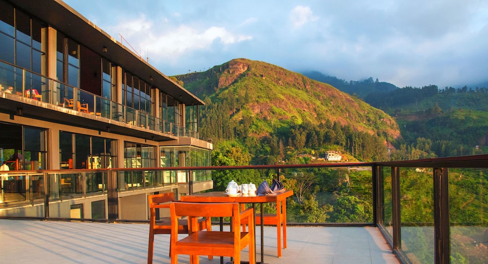 Oak Ray Tea Bush Ramboda