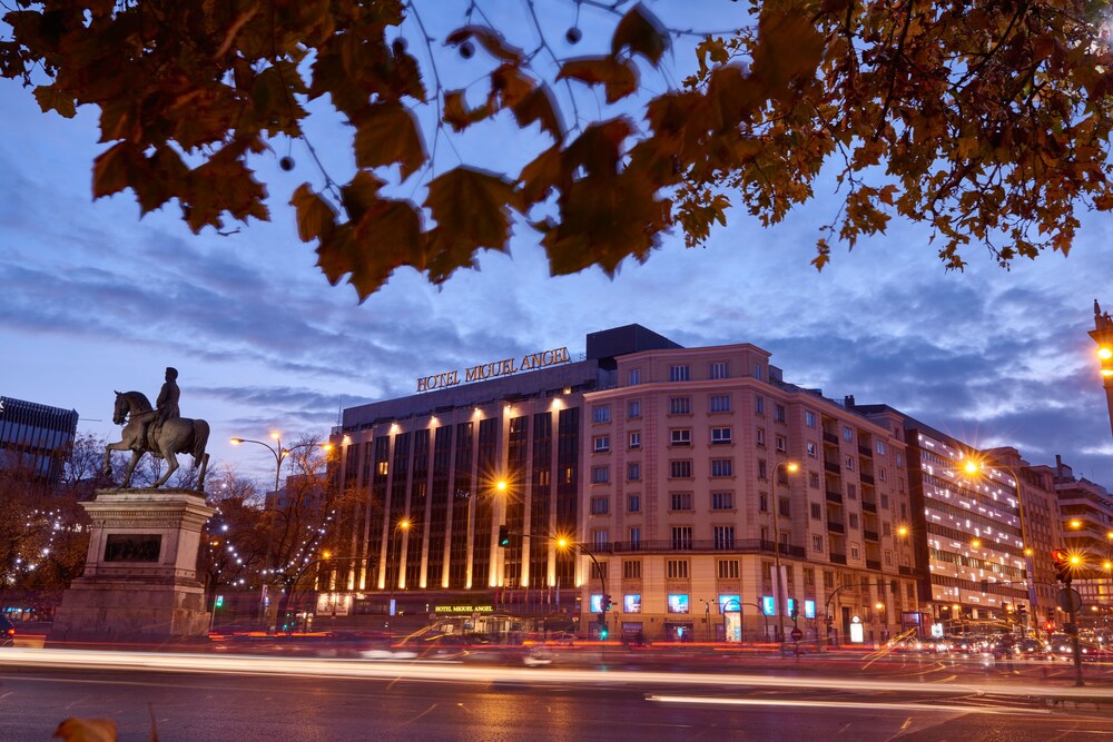 Hotel Miguel Angel By Bluebay