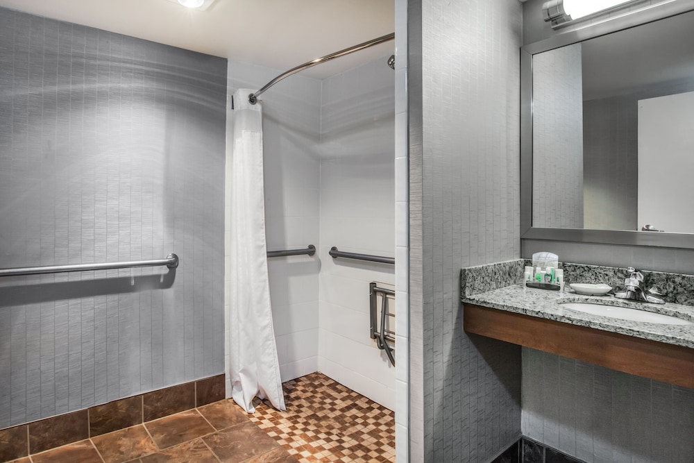 Holiday Inn Saratoga Springs by IHG - photo 28