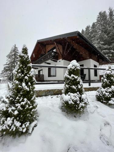 Panorama — hotel in Slavske