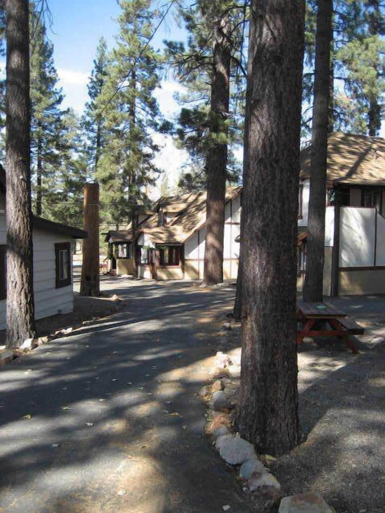 The Timberline Lodge - photo 128