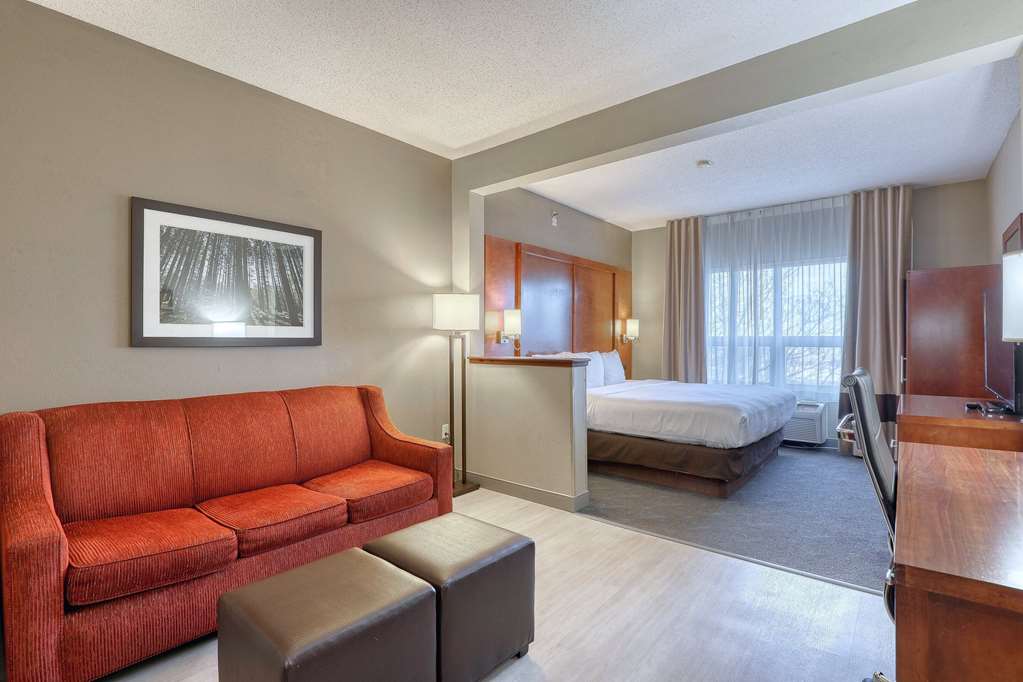 Comfort Suites Madison West Middleton - photo 26