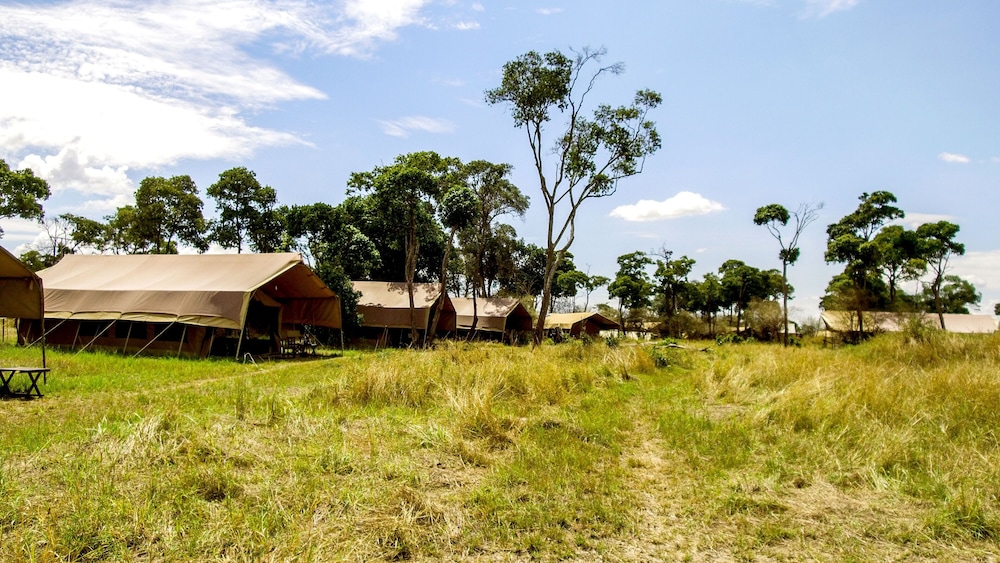Serengeti Savannah Camps in Bariadi, Tanzania