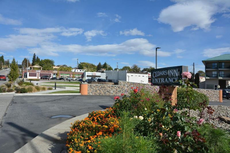 Cedars Inn - photo 10