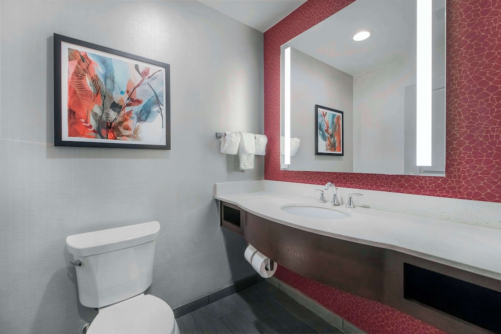 Hilton Garden Inn Raleigh Cary - photo 46