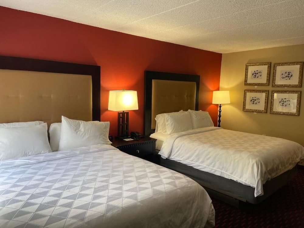 Wyndham Garden Dover - photo 11