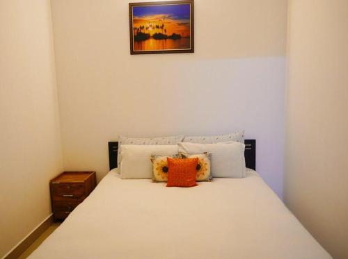 Fortis Rooms